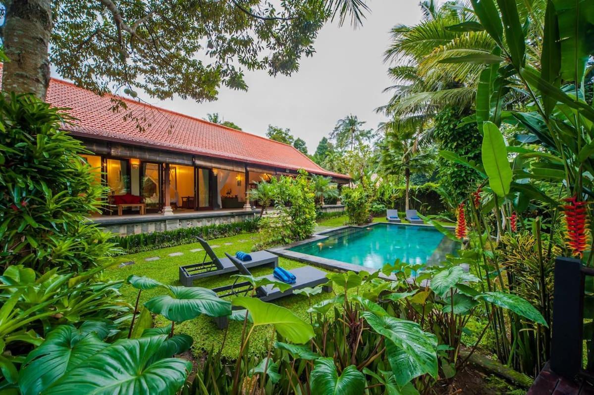 Luxury 3br Infinity Jungle View Aashaya Villa Ubud