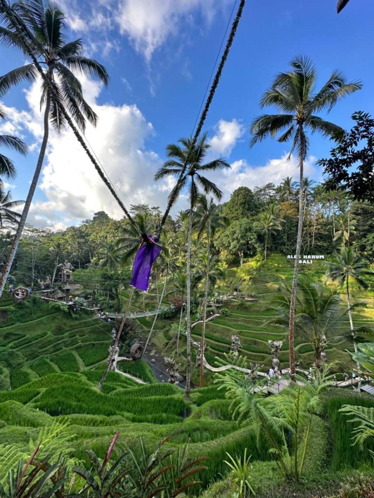 Luxury 3br Infinity Jungle View Aashaya * Ubud