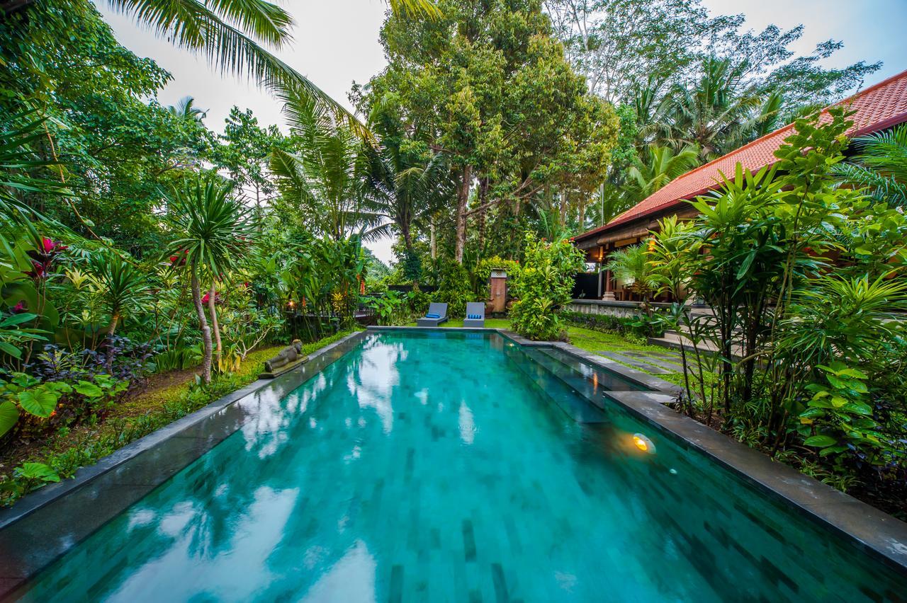 Luxury 3br Infinity Jungle View Aashaya Ubud