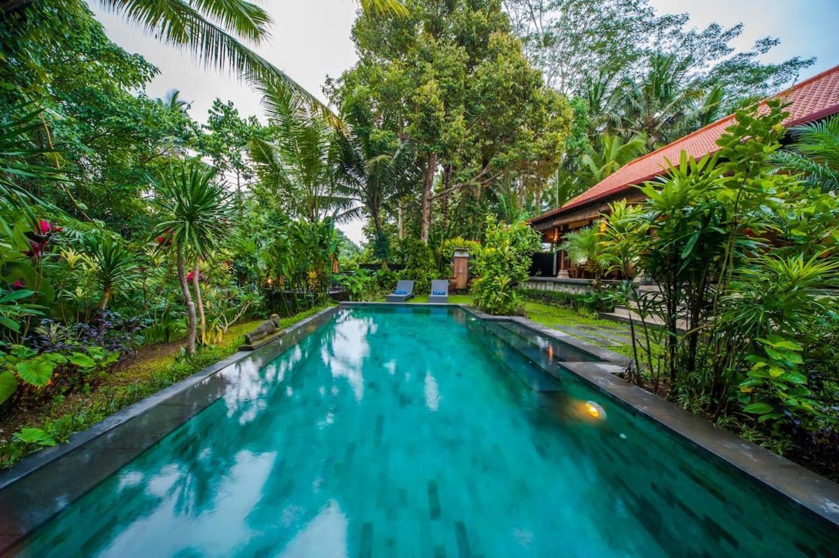 Luxury 3br Infinity Jungle View Aashaya Ubud