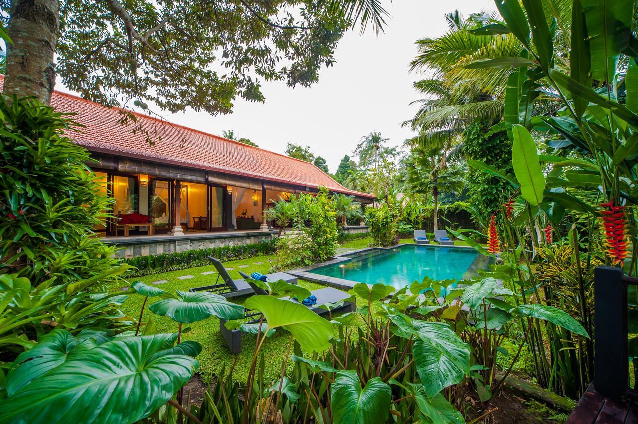 Pousada Luxury 3br Infinity Jungle View Aashaya